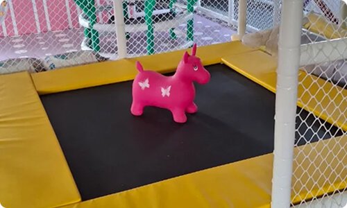 Down the Rabbit Hole